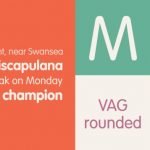 Vag Rounded Font Free