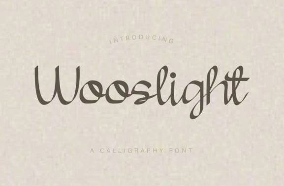 Wooslight Modern Calligraphy Font