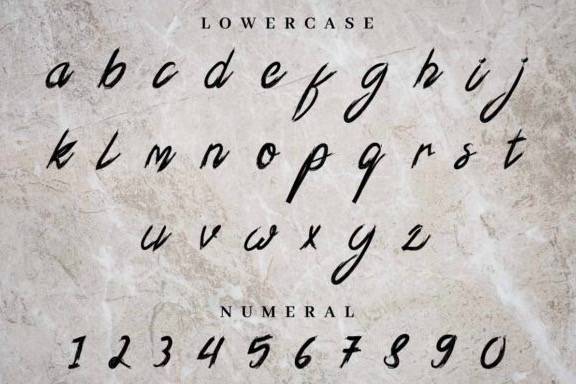 Xander Bruce Script Font - Fontspace.io