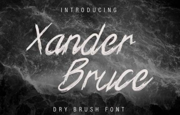 Xander Bruce Script Font - Fontspace.io