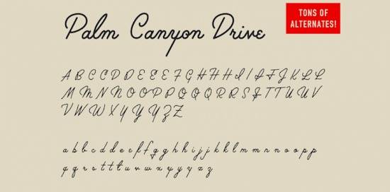 Palm Canyon Drive font free
