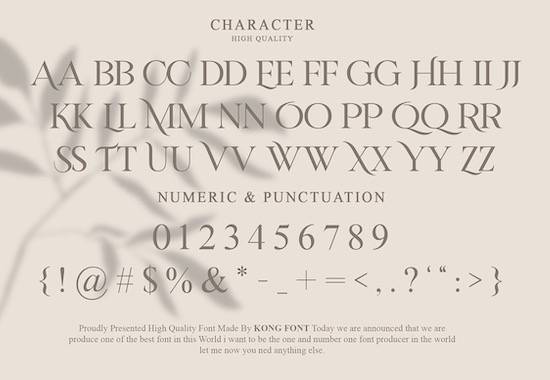 Riverflows Modern Font Fontspace Io