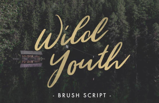 Wild Youth Font free download