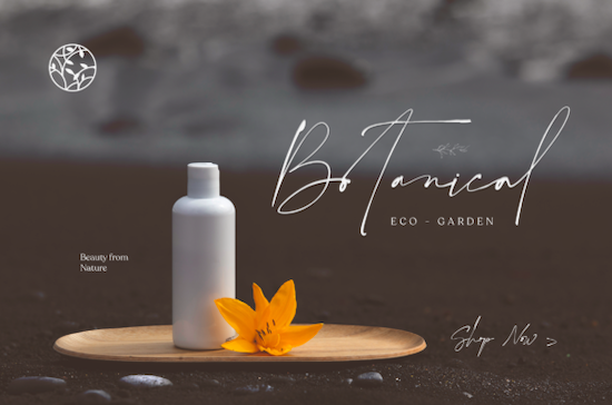 The Coastal font free