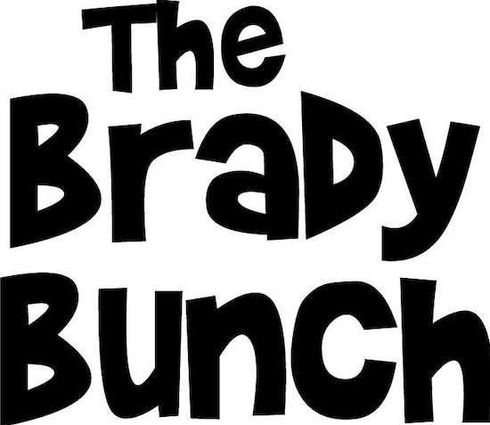 brady bunch logo vector