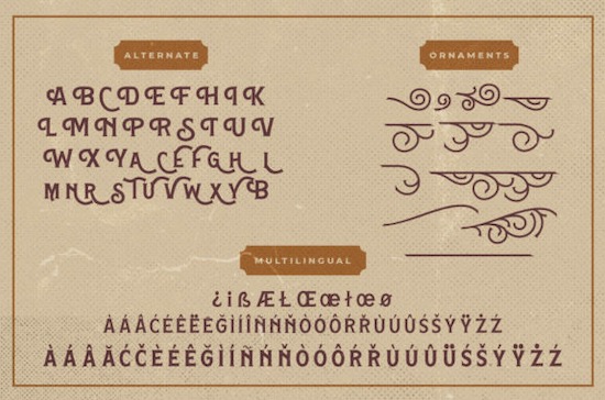 Hamston font free download