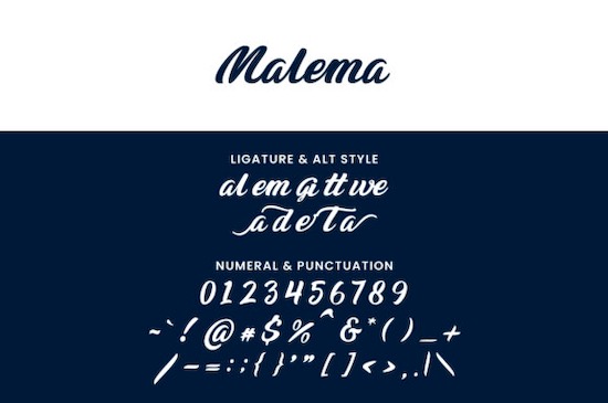 Malema font download