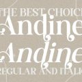 Andine font free download