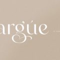 Argue font free download