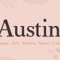 Austin font download