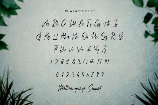 Hydrilla font download