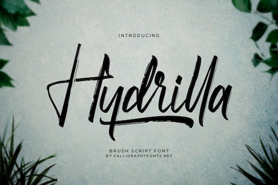 Hydrilla font free download