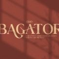 Bagator font free download
