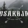 Bsakoja font free download