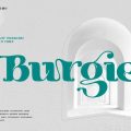 Burgie font free download