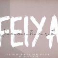 Jenoshark Feiya font duo download