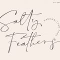 Salty Feathers font free download
