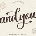 Andyou font free download