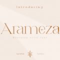 Arameza font free download
