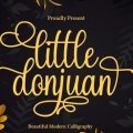 Little Donjuan font free download