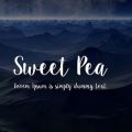 Sweet Pea font