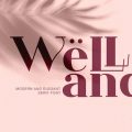 Welland font free download