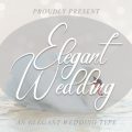 Elegant Wedding font free download