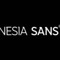 Nesia Sans font free download