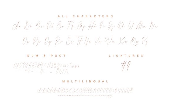 Photograph font download