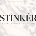 Stinker font free download