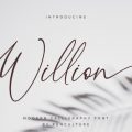 Willion font free download