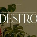 DSETRO font free download