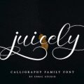 Juicely font free