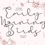 Early Morning Birds font free download