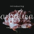 Angellina Font free download