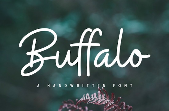 Buffalo Font free download