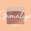 Gamaliya Font free download
