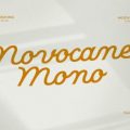 Novocane Mono Font free download