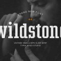 Wildstone Font free download