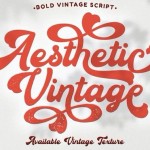 Aesthetic Vintage Font