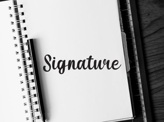 Cat Font free