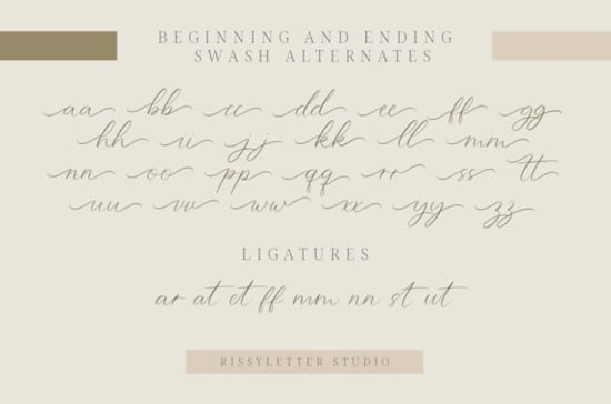 Wonderful Feather Font download