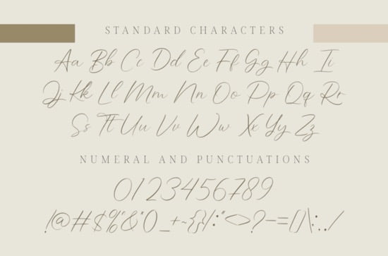 Wonderful Feather Font free