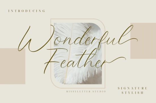 Wonderful Feather Font
