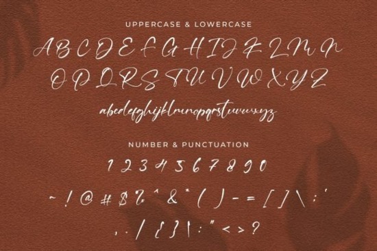 Ving Winston Font free