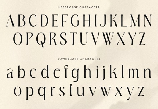 Boutique Font free