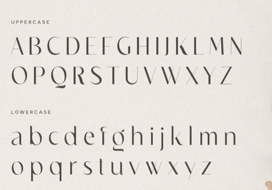 Chicago Sans Font free
