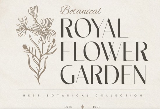 free Chicago Sans Font