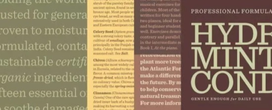 Sentinel Font Family