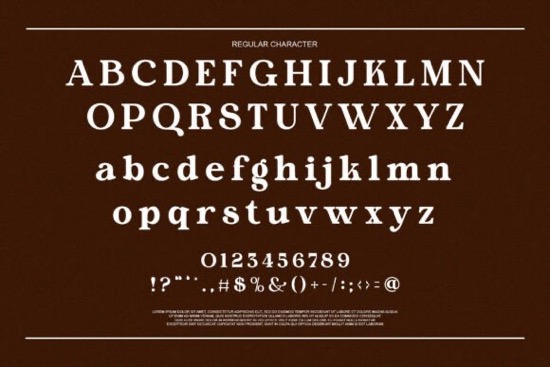 Morina Borick Font free